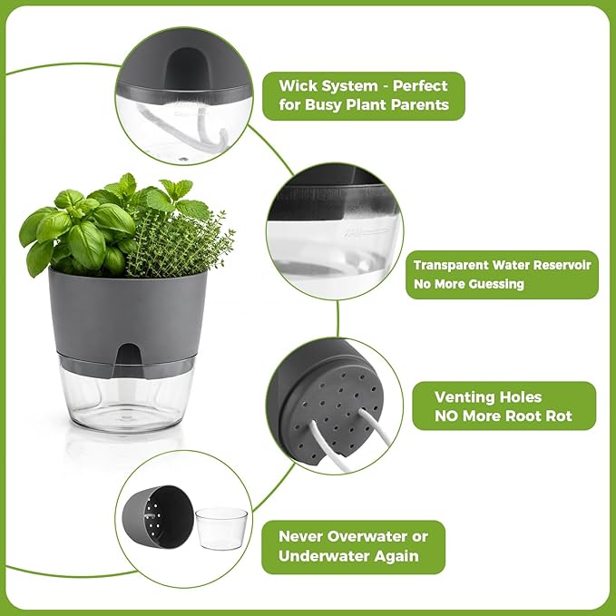 Planterhoma 5 Pack Self Watering Pots for Indoor Plants, 9 Inch Plant Pot Plastic Self Watering Planter for Orchid, Monstera, Lily, Large Clear Flower Pots with Drainage Holes and Wicking Rope, Gray Planterhoma