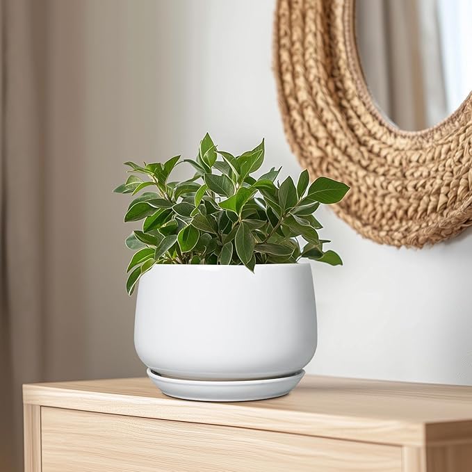 G EPGardening Ceramic Planter 9 Inch - Plant Pots with Drainage and Ceramic Saucer, Flower Pots for Indoor Plants, Modern Outdoor Planter, Living Room Decor, Gifts for Plant Lovers, White GEPGardening