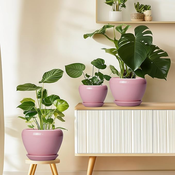 Ceramic Modern Glaze Succulent Planter Pot with Drainage Hole and Saucer 8 Inch Round Flower Plant Pot for Indoor Outdoor Herb Snake Plants, Pink Ceramicfor