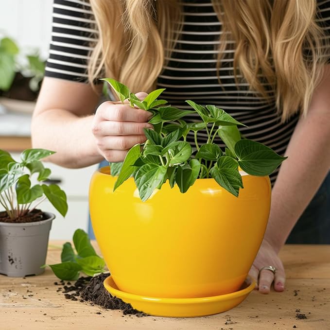 8 Inch Plant Pot - Glaze Modern Round Ceramic Planter for Indoor Outdoor Plants with Drainage Hole and Saucer for Home Patio Room Office Decor, Yellow Ceramicfor