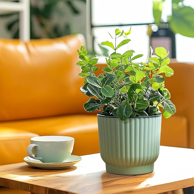 T4U 4.5 Inch Plant Pots Self Watering, 6 Pack African Violet Pots, Small Plant Pots for Plants, Small Indoor Plant Pot, Self Watering Planter for African Violet, Succulents (6 Pack 4.5" Pots, Green) T4U