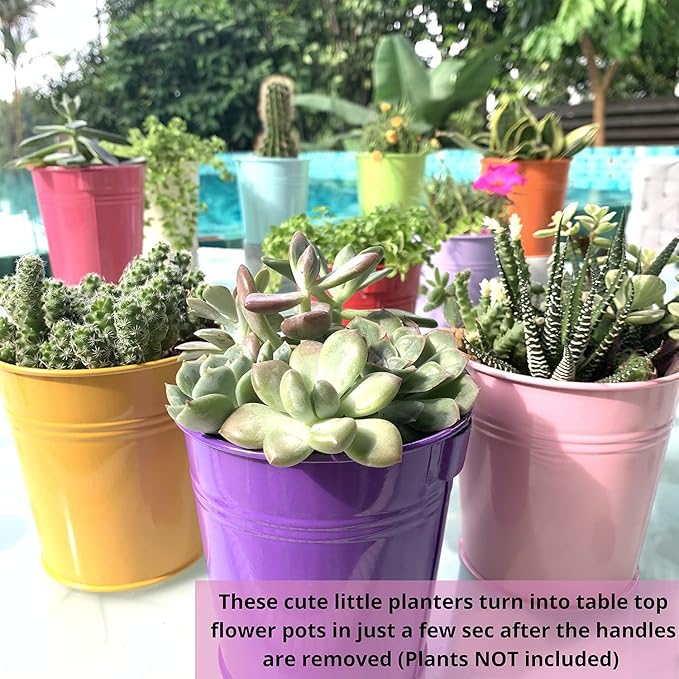 LaLaGreen Small Hanging Planters Outdoor - 10 Pack, 4 Inch Rainbow Planter Colorful Flower Pots Metal Iron, Rail Balcony Garden Deck Railing Plant Hanger Fence Wall, Herb Bucket Indoor Window Boxes L%C3%A1L%C3%A1Green