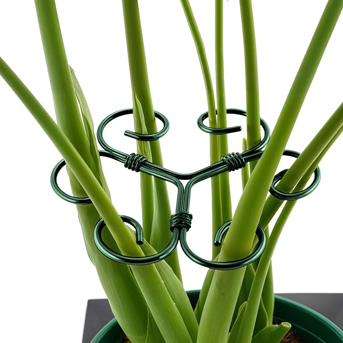 4PCS Green Iron Monstera Support, Uniquely Designed Plant Support Stakes for Indoor Plants, Stable Plant Stakes and Supports, Turtle Shell Bamboo Clamp Set for Thriving Growth Rootora