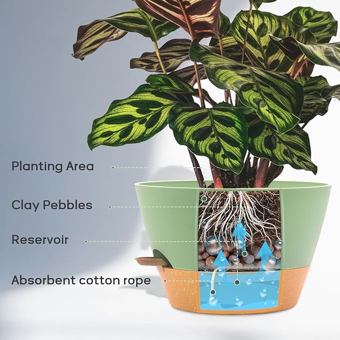 12-Inch Self Watering Planters with Drainage Holes, Large Flower Pots for Indoor Outdoor Plants, Garden Pots Green 2 Pack FIASON
