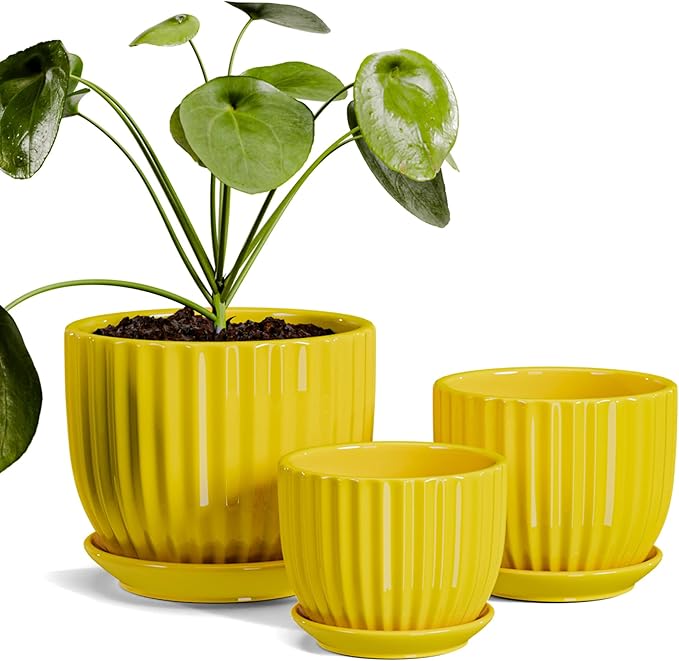 Ton Sin Ceramic Flower Pots,Yellow Plant Pots for Indoor Plants,4.1+5.1+6.5 inch Ceramic Plant Pots with Tray,Medium Indoor Planters for Aloe Cactus Decorative Pots with Drainage Hole (Set of 3) TonSin