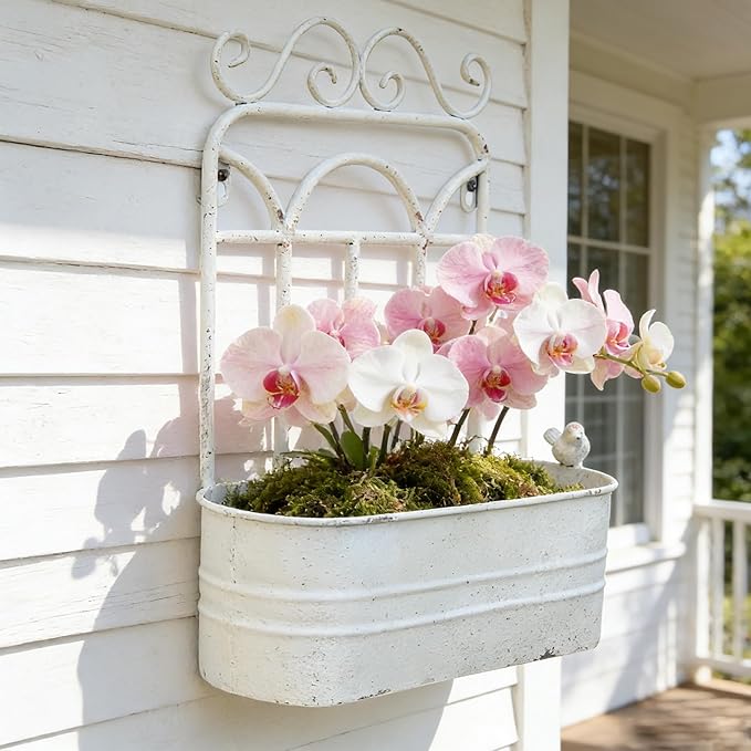 Rustic Metal Wall Planter Vintage Wall Mounted Flower Pot Distressed Wall Hanging Plant Basket Farmhouse Wall Decor for Indoor Outdoor Garden Home Yard (White) Rootora