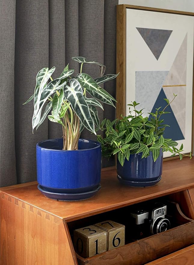 LE TAUCI Ceramic Plant Pots, 4.3+5.3+6.8 inch, Set of 3, Planters with Drainage Hole and Saucer, Indoor Flower Pot with Hole Mesh Pad, Gifts for Mom, Sapphire Blue LETAUCI