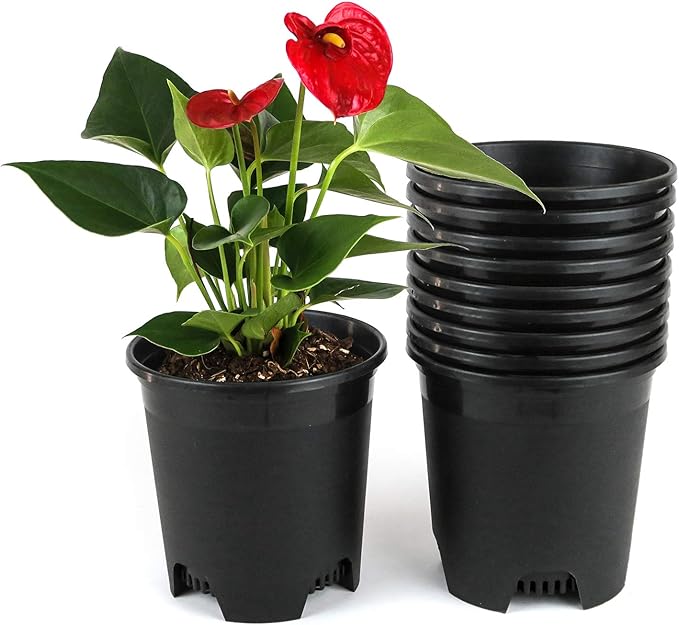 Wholesale Bulk Nursery Pot 5.5 Inch Black Plastic Planters 30-Pack 0.5 Gallon Pots for Outdoor Indoor Plants Gardening Flower with Drainage Holes CottaPlanters
