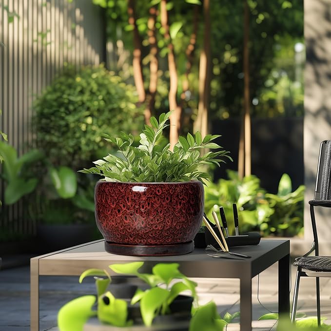 SQOWL Ceramic Flower Pots - 10 Inch Plant Pot Indoor, Ceramic Planter with Drainage Hole and Saucer, Round Decorative Large Planter Outdoor, Home Decor Living Room, Gifts for Plant Lovers, Red SQOWL