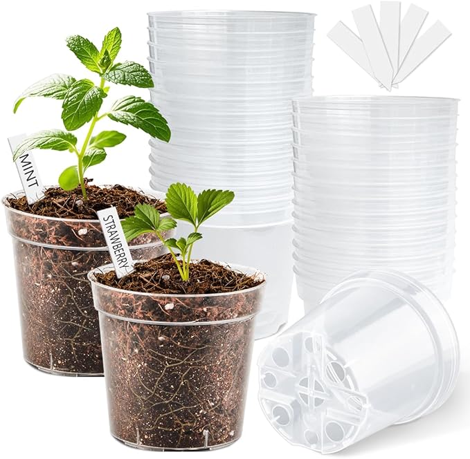 4 Inch Clear Nursery Pots for Plants, Plastic Plant Pot with Drainage Holes, Sturdy Seed Starter Pots, Small Transparent Seedling Pots with Plant Labels and Soil Screens, Gardening Gifts(30 Pack) BTPLASTIK