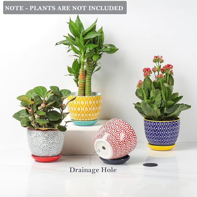 Selamica Ceramic Succulent Pots with Drainage Holes, Small Flower Pots 3.5 Inch Plant Pots for Indoor Plants with Saucers, Cactus Succulent, Home Decor, Set of 4, Assorted Colors Selamica