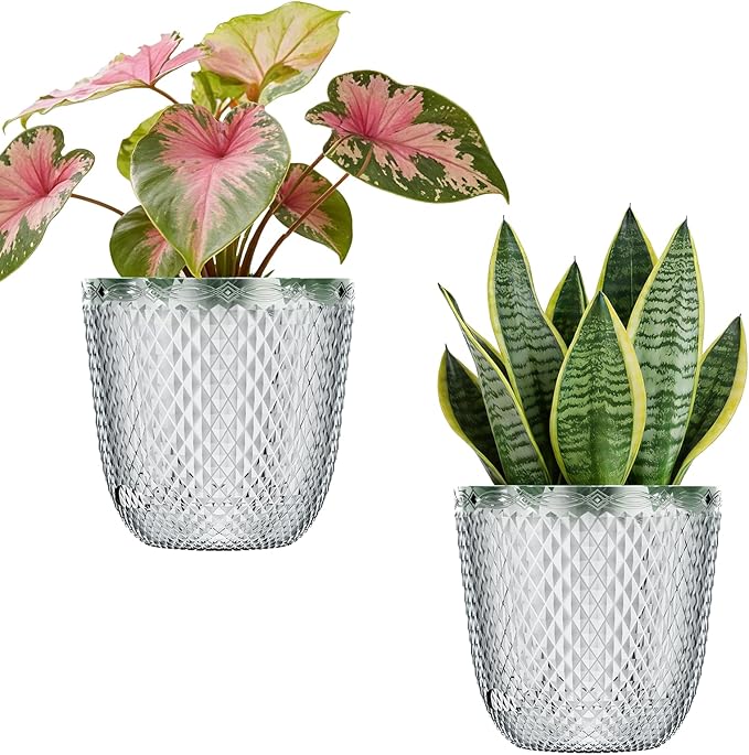 QCQHDU 2 Pack Self Watering Pots, 5.7 Inch Flower Pots with Drainage Holes and Water Filling Port, Garden Planter for Indoor Outdoor Plants (Clear) QCQHDU