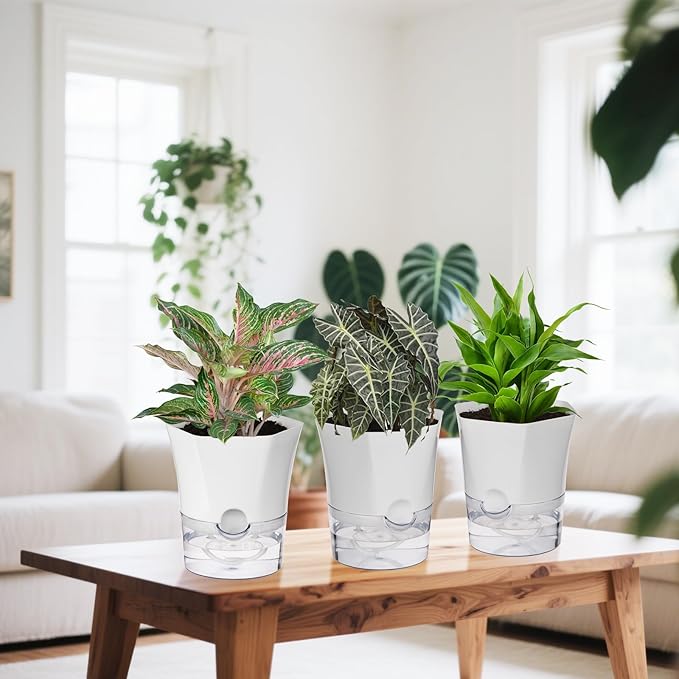 KIMCHOMERSE Self Watering Plant Pots, 6 Inch Orchid Pots, 3 Pack Flowers Pot Indoor Planter Pots with Tray for Spider Plant, Orchid, African Violet -White KIMCHOMERSE