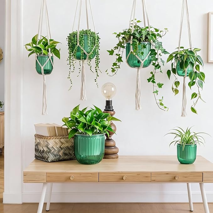 6 Pack Self Watering Hanging Planters Indoor Flower Pots(4.5"+6.5") Visible Water Level Markers 3 Hanging Ropes with Drainage Holes for Indoor Outdoor Garden Home Decor Supplies(Emerald) Yiyiring