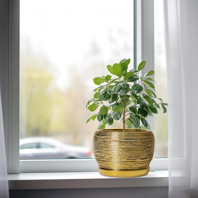 SQOWL Ceramic Flower Pot - 8 Inch Plant Pot Indoor Outdoor, Round Planter with Drainage Hole and Saucer, Decorative Modern Planter, Home Decor, Plant Lovers Gifts, Gold SQOWL