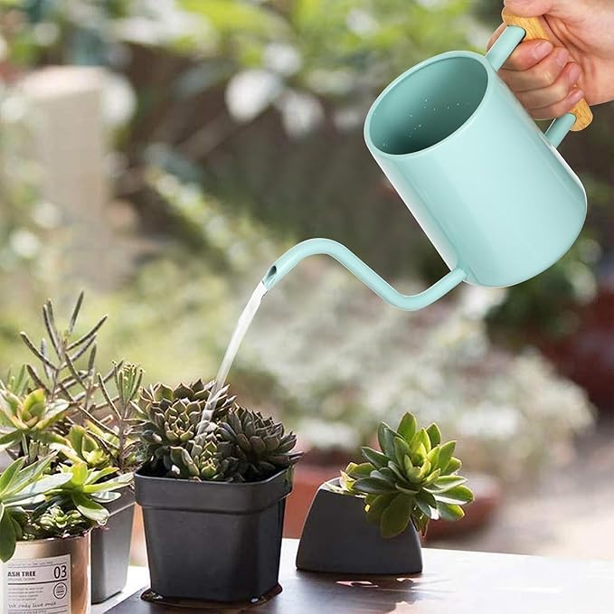 Watering Can Indoor Plants, 35 oz/1000 ml Metal Stainless Steel Watering Can Pot with Long Spout for Indoor House Plants Bonsai Outdoor Garden Flower Decorative (Green Rootora