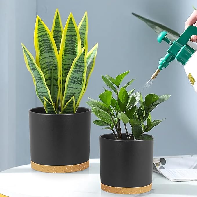 8/7/6 inch Flower Pots, 3 Pack Cylinder Plant Pots for Outdoor Indoor Plants, Decorative Plastic Planters with Drainage Holes and Saucers for Garden House Plants, Black with Brown Meowell