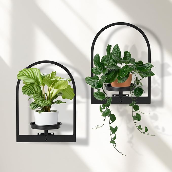Wall Planters for Indoor Plants Set of 2, Hanging Planter for Indoor Plant Stand Plants Wall Decor - Premium Metal Hanging Plant Holder (Semi-Round) STORENIZATION