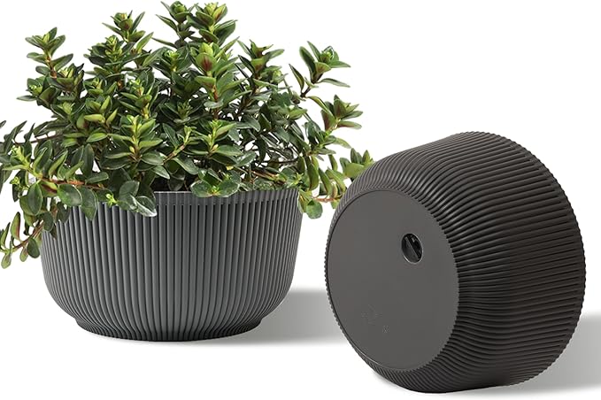 T4U 8 Inch Plant Pots, 2 Pack Self Watering Planter with Drainage Hole, Shallow Plant Pot Indoor, Home Decor Flower Pots for Plants, Cactus, Garden, Gray T4U