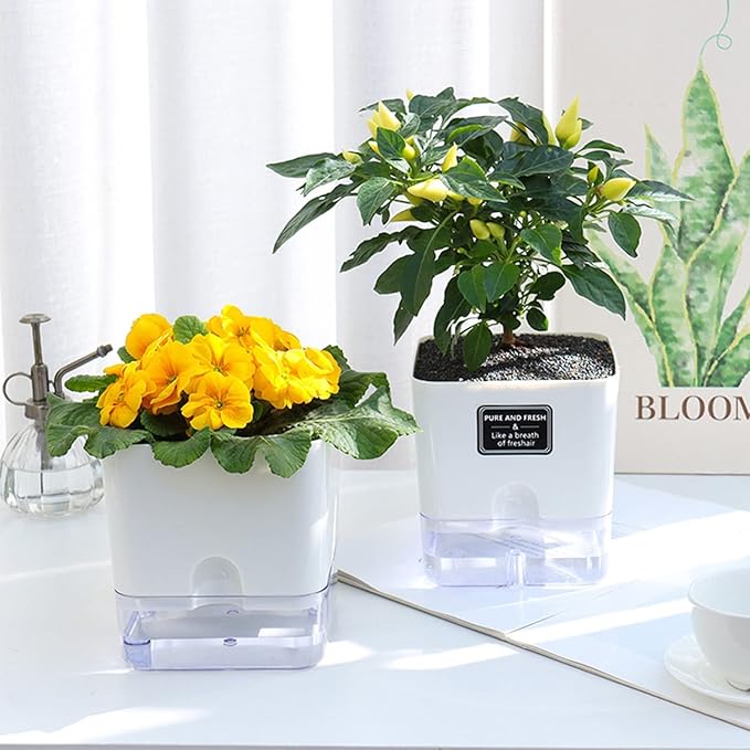 FAMZ Self Watering Planters 4 Pack，Self Watering Pots for Indoor Plants，Automatic Moisturizing，Transparent Square Flower Pot for Indoor and Outdoor Plants，Succulents，Violets，Ivy FAMZ