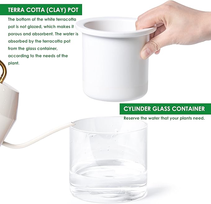 Phoenix Vine 4 Inch Self Watering Planter Pot, Design White Terracotta Pots for Plants, Indoor Cylinder Terra Cotta Pots with Glass Vase, Set of 2, 51-B-E-2 Phoenix+Vine