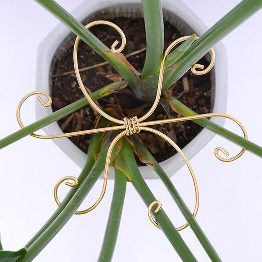Monstera Plant Stem Support Set of 5 - Durable 7.5in Indoor Stabilizers for Fishbone Cactus - Enhances Growth & Home Decor - Ideal Plant Care Solution Yohsnor