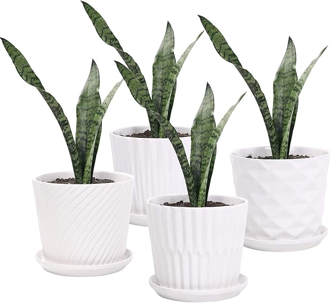 Plant Pots - 5.5 Inch Cylinder Ceramic Planters with Connected Saucer, Pots for Succuelnt and Little Snake Plants, Set of 4, White sietpoek