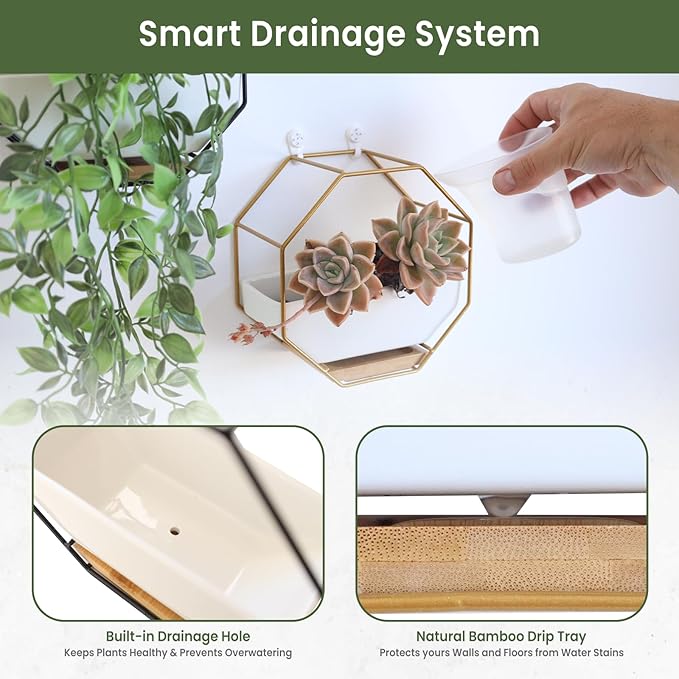 IRYL Wall Planter for Indoor Plants - Ceramic Wall Hanging Planter Set with Bamboo Tray & Hooks - Decorative Wall Plant Holder - Modern Wall Planters for Vertical Garden Home Decor - Golden Rootora