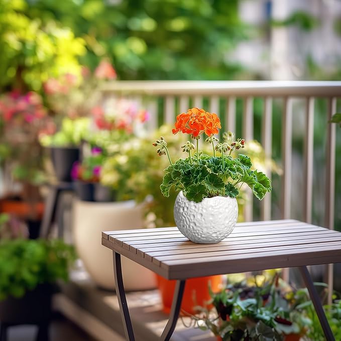 4 inch Plant Pots - Ceramic Pots for Plants with Drainage Hole, Small Planter for Indoor Outdoor, Unique Succulent Pot, Decorative Modern Round Planter, Desk Decor, Plant Lover Gifts, White Thirtypot