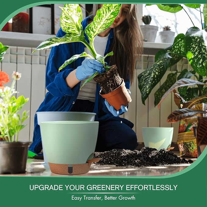 montresor 2 Pack 8 inch Plant Pots, PP Plastic Self Watering Plant Pot with Drainage and Tray for Indoor Outdoor Plants, Water Level Window & Reservoir Flower Pots Decorative Planter (Green) Montresor