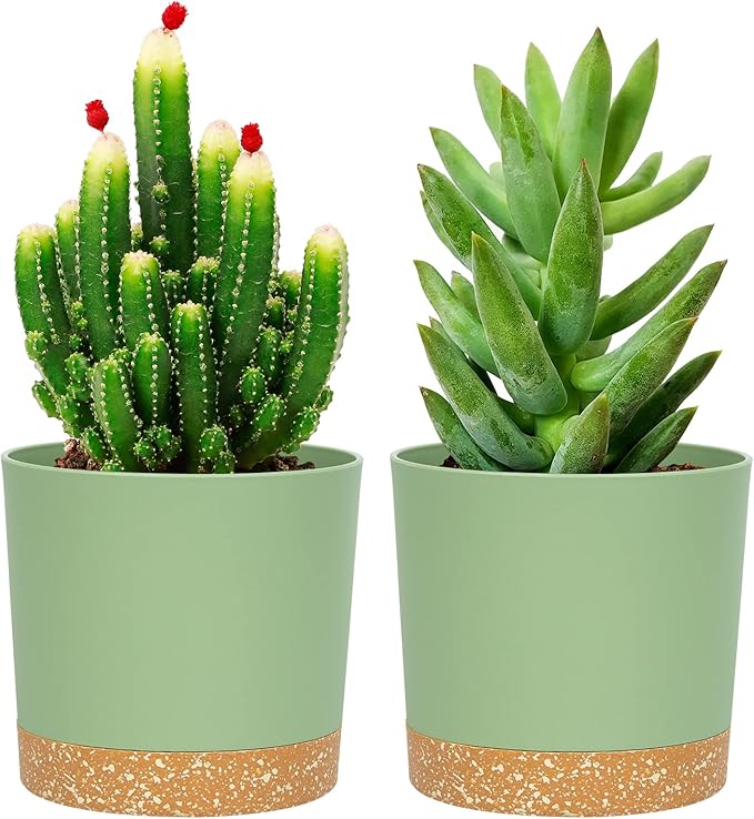 QCQHDU 5 inch Plant Pot, 2 Pack Planters for Indoor Plants with Drainage Holes & Saucer, Outdoor Flower Pots Home Garden Modern Decor QCQHDU
