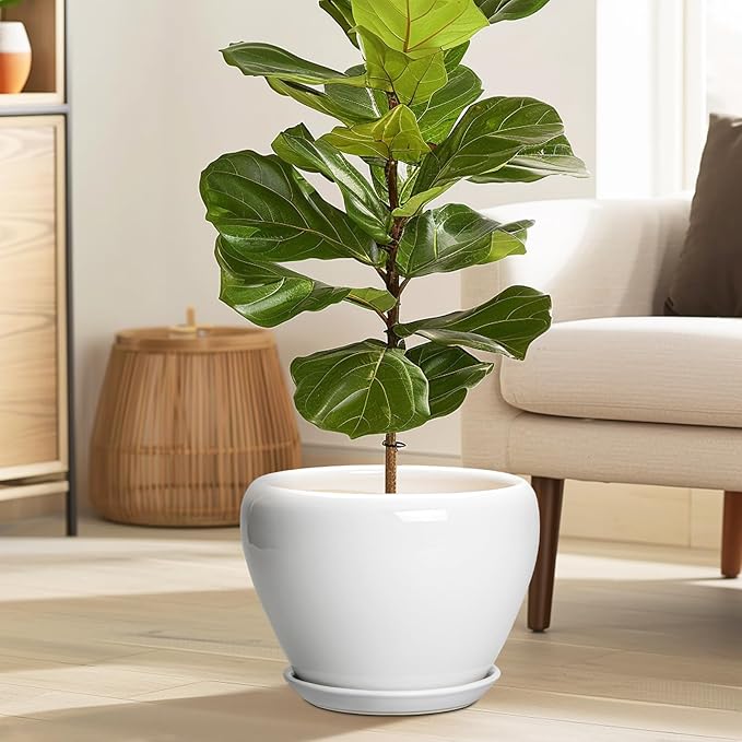 Ceramic Pot for Plants - 10 Inch Planter with Drainage Hole and Saucer, Glaze Modern Round Flower Pot for Indoor Plants, Housewarming Gift, Home Decor, White Ceramicfor