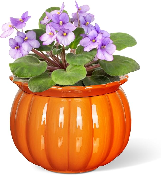 BUYMAX African Violet Pots, Halloween Pumpkin Plant Pots Ceramic Easy Self Watering Plant Pot for Busy Plant Lovers, Automatically Absorb Appropriate Amount of Water, Flower Pot Indoor BUYMAX