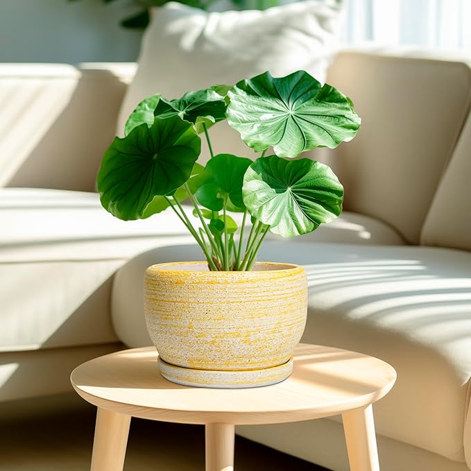 SQOWL Ceramic Flower Pots - 8 inch Plant Pot Indoor with Drainage Hole and Saucer, Modern Ceramic Planter Outdoor, Round Decorative Planter, Living Room Home Decor, Gifts for Plant Lovers, Yellow SQOWL