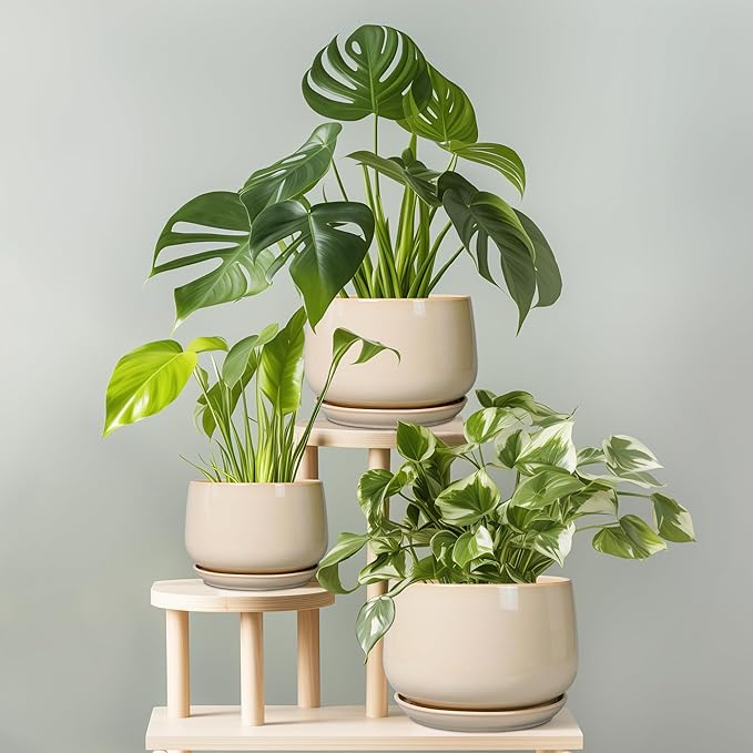 G EPGardening Ceramic Pot for Plants - 6 Inch Planter with Drainage and Ceramic Saucer, Flower Pots for Indoor Plants, Modern Outdoor Planter, Home Decor, Gift for Women Men, Beige GEPGardening