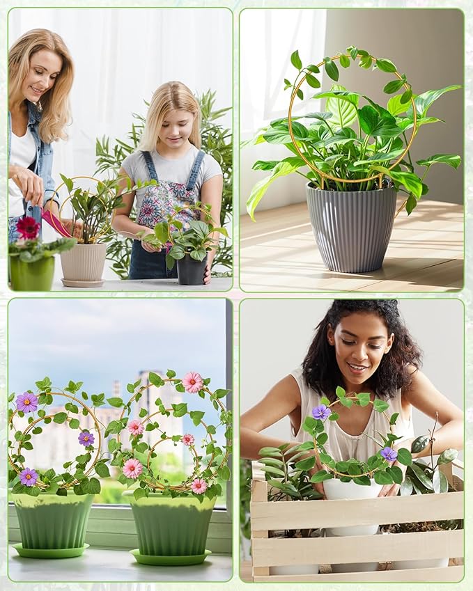 3 Pack Premium Round Plant Trellis Indoor, Small Metal Plant Support Stake for Climbing Plants, Different Sizes Gold Garden Trellis for Ivy and Flowers Outdoor Whtawtaw