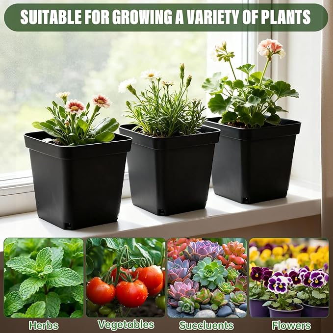 BTPLASTIK Square Nursery Pots 5.5 Inch, 50Pcs Plastic Sturdy Reusable Seedling Pots with Drainage Holes, Garden Flower Planters for Indoor/Outdoor, Transplanting, Succulents, Cuttings, Black BTPLASTIK