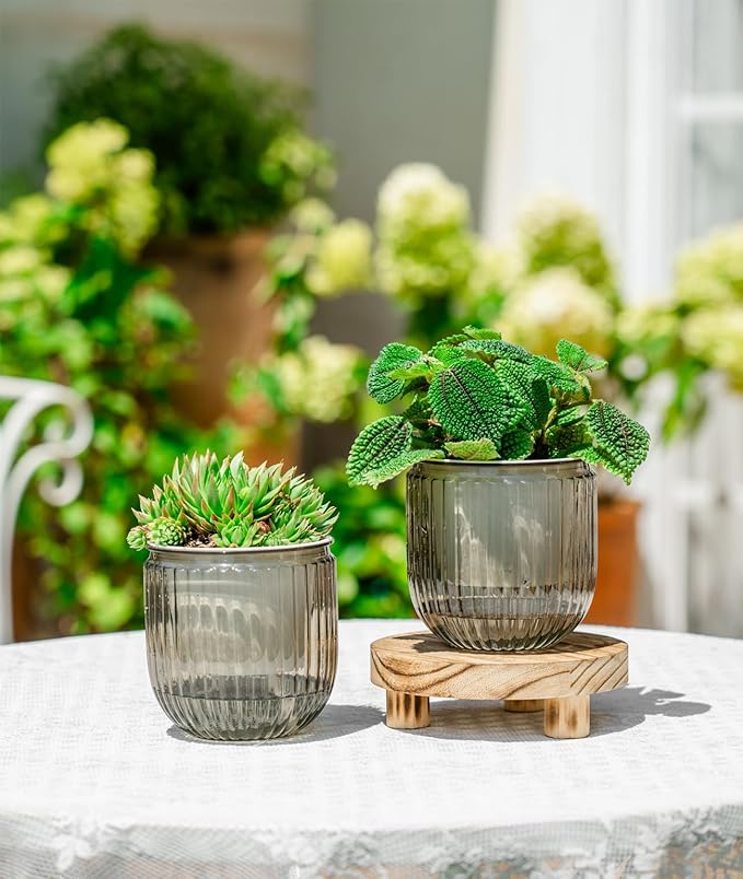 Melphoe Self Watering Pots for Indoor Plants Planter, 4.3 Inch 2 Pack Planters Self Watering Plant Pots for Flower, Houseplants, Succulent, African Violets and Cactus with Drainage Melphoe