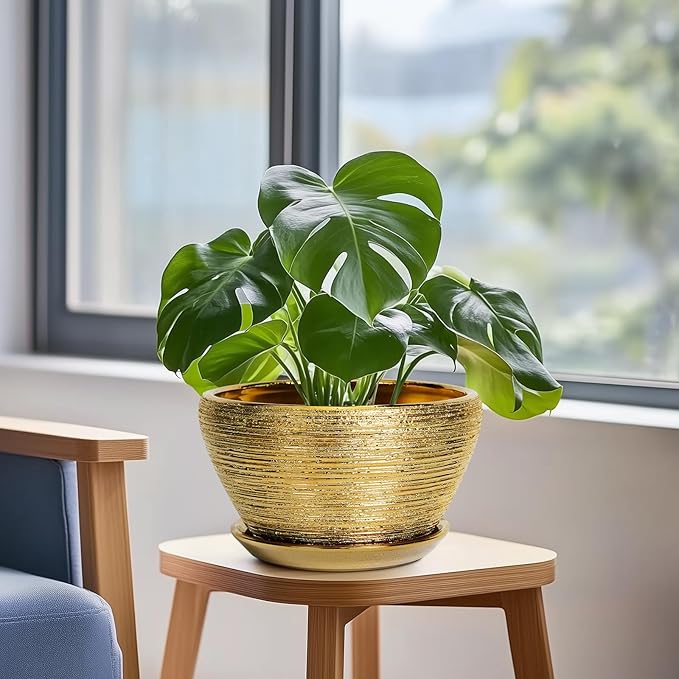 Ceramic Plant Pot Indoor - 9 Inch Planters for Outdoor Plants Decorative Plant Pot with Drainage Hole and Saucer Round Planter Modern Flower Pot Decorative for House Decor Gold Ceramicfor