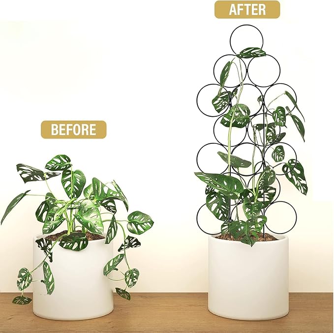 Trellis for Climbing Plants Indoor,4 Pack Stackable Garden Trellis for Potted Plant Support, 15.7 Inch Small Houseplant Metal Wire Trellis for Vine Ivy Rose Plant Trellis (Black) IAGarden