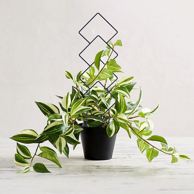 Indoor Plant Trellis for Climbing Plants, 16inch Small Garden Metal Trellis for Potted Plants Outdoor with Different Patterns for Vine Ivy Flower Plant Support 4 Pack WellSign