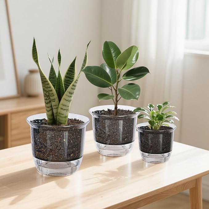Plant Pots 6 inch Set of 3, Self Watering Pots for Indoor Outdoor Plants Flowers, Self Watering Planters with Reservoir, Drainage Hole and Absorbent Cotton Rope (3 Large) IWNTWY