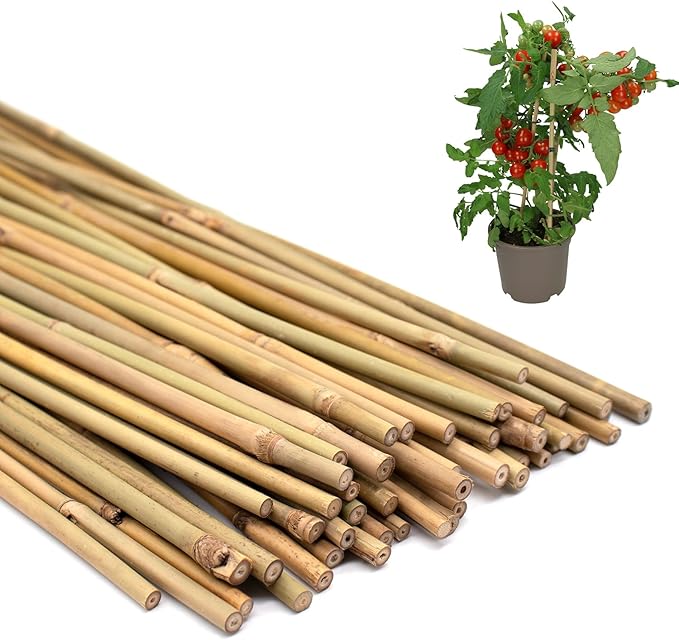 50PCS Plant Stakes,16 Inch Natural Bamboo Stakes,Garden Stakes for Indoor and Outdoor Plants,Poles Sticks for Tomatoes,Beans,Flowers,Trees Potted and Climbing Plants POLIUMB