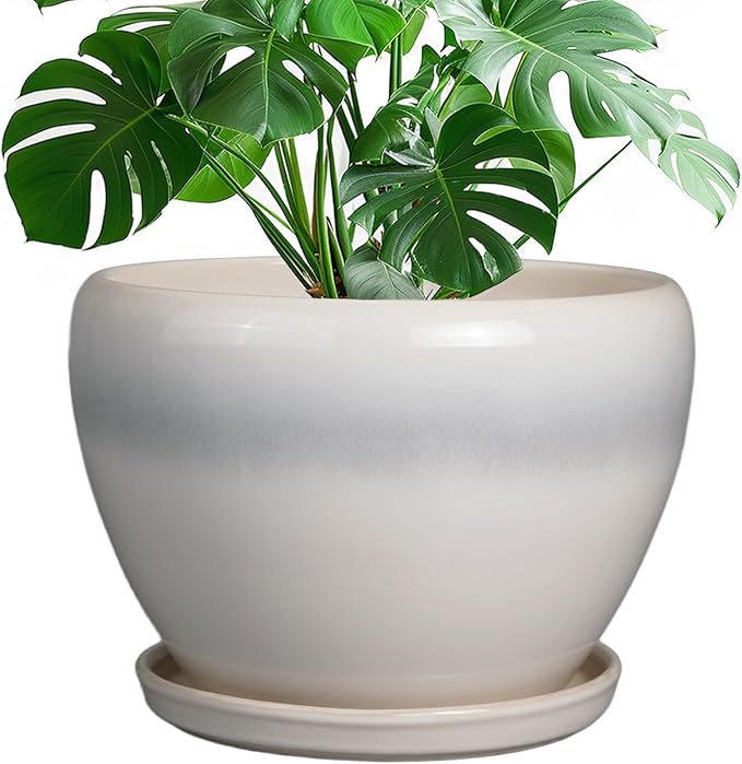 10 Inch Ceramic Planter Pot - Large Plant Pot with Drainage Hole and Saucer Round Flower Pot for Indoor Plants, White Ceramicfor