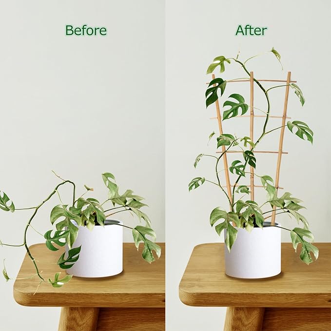 Plant Trellis Indoor, 3 Pack Bamboo Trellises, 16in Fan-Shaped Trellis for Potted Plants Climbing Plants Hoya Vine Ivy Cambaverd