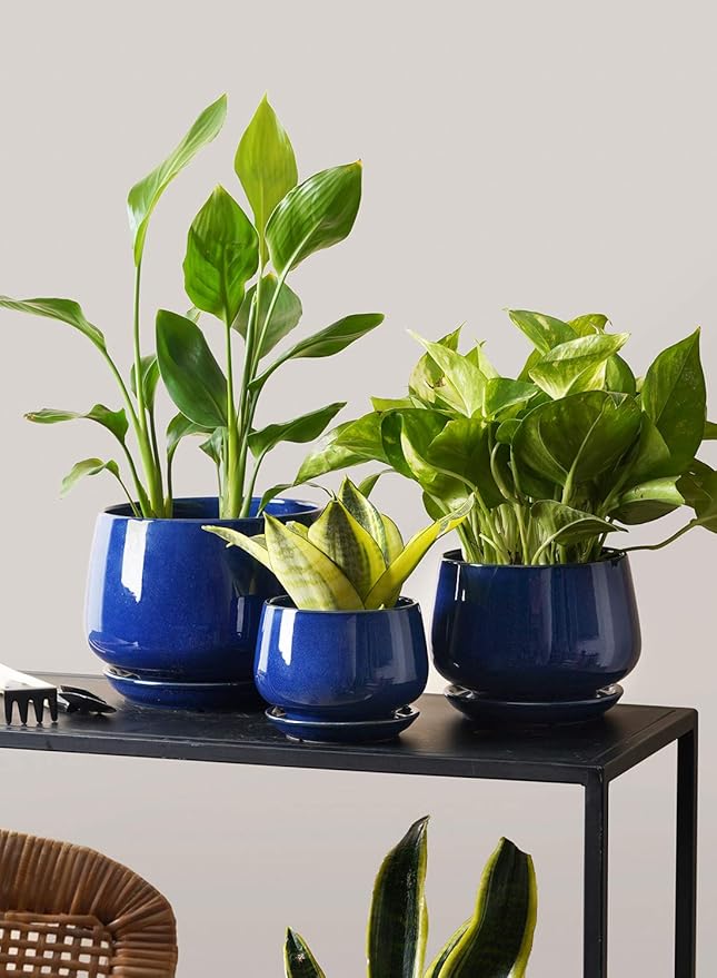 LE TAUCI Plant Pots, 4.1+5.1+6.5 inch, Set of 3, Ceramic Planters with Drainage Hole and Saucer, Indoor Flower Pot with Hole Mesh Pad, Gifts for Mom, Sapphire Blue LETAUCI
