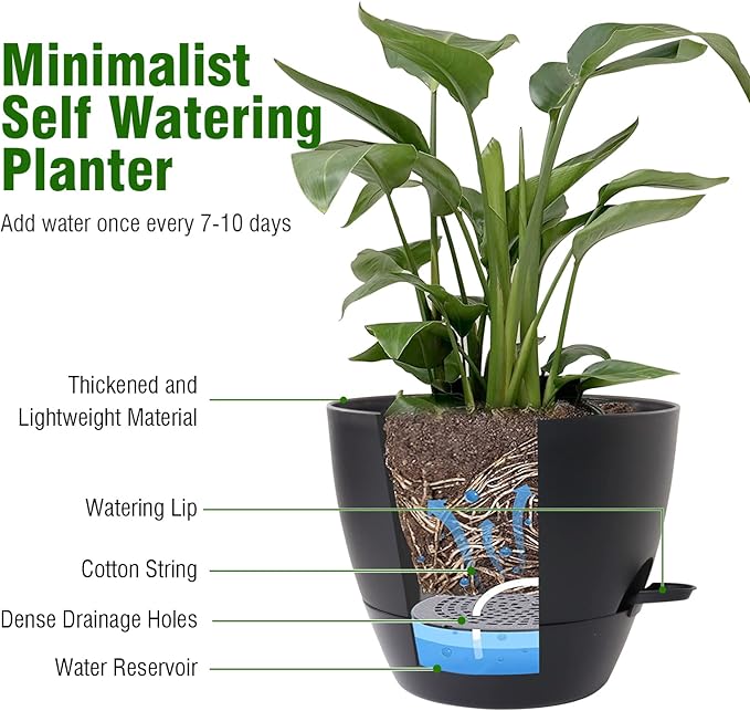 8 inch Self Watering Pots, 2 Pack Plastic Planters with Mesh Drainage Holes for Garden Plants and Flower, Plants Pots with Deep Reservoir for Indoor Outdoor Plants, Black WSMKSZ