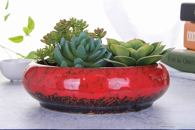 VanEnjoy 7.1 inch Round Large Shallow Succulent Ceramic Glazed Planter Pots with Drainage Hole, Bonsai Pots Garden Decorative Cactus Stand Flower Container (Red) VanEnjoy