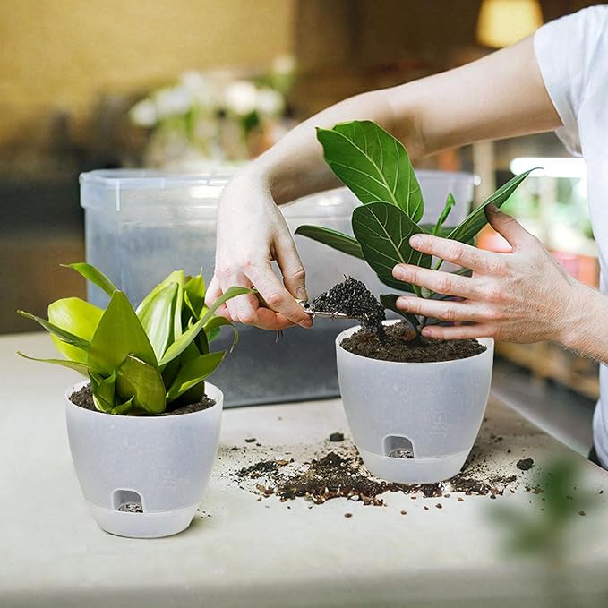 Self Watering Pots Set, 5 Pack 6 Inch Self Watering Pots for Indoor Outdoor Plants, Plastic Planter with Drainage Holes and Deep Reservoir for African Violet, Spider, Orchid IWNTWY