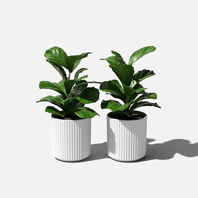 Veradek Demi Series Round Planter for Porch, Patio, Backyard | Durable Plastic-Stone Composite Material | Modern Décor for Tall Plants, Flowers VeradekOutdoor